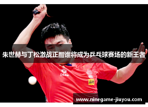 朱世赫与丁松激战正酣谁将成为乒乓球赛场的新王者